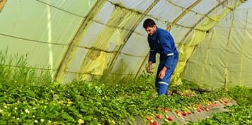 Agricultural farming and livestock business in Abu Dhabi Agricultural farming and livestock business in Abu Dhabi